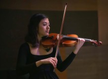 Violinist