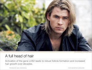 chris-hemsworth-locks